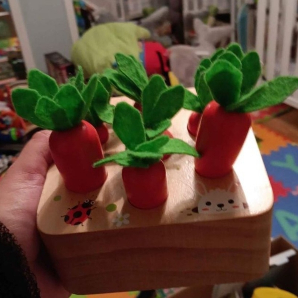 Montessori learning toy